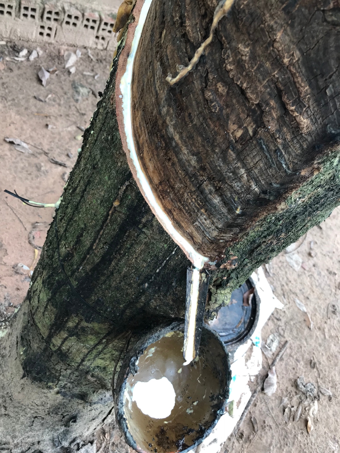 05b9811fd07730296966